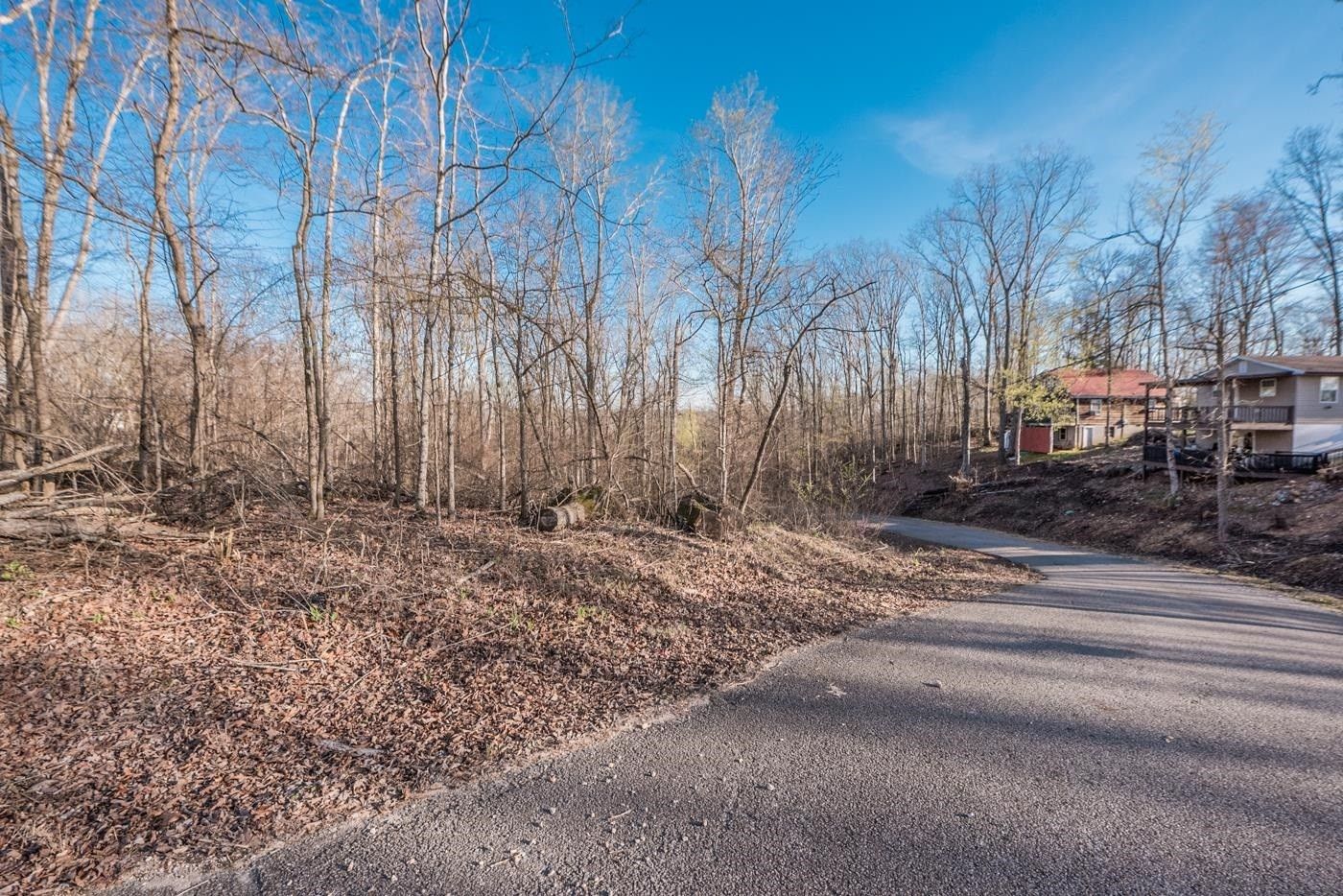 0.36 Acres, Oak Park, Sugar Tree, TN 38380 Land and Farm