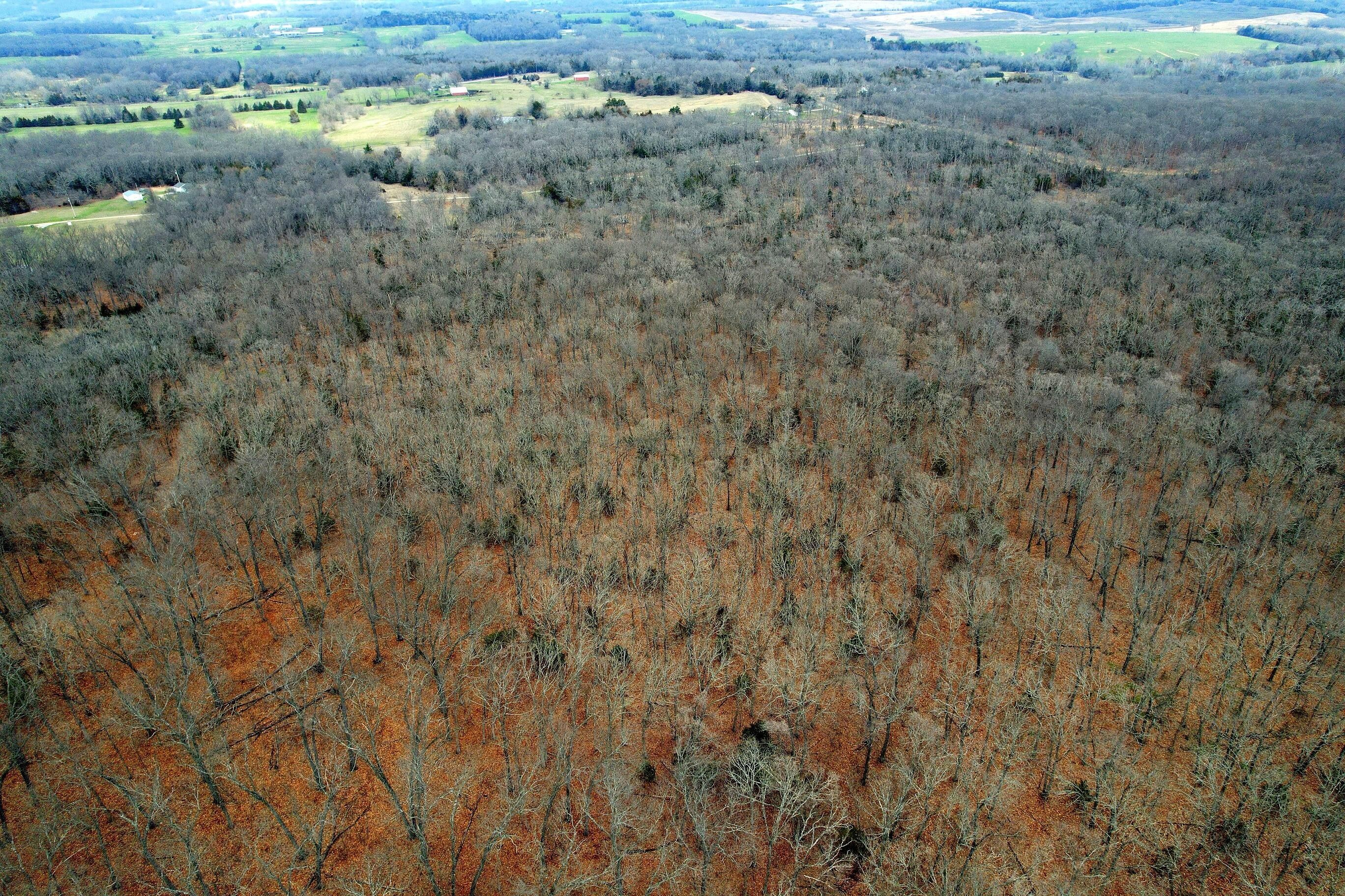 20 Acres, 000 East 350th Road, Humansville, MO 65674 Land and Farm