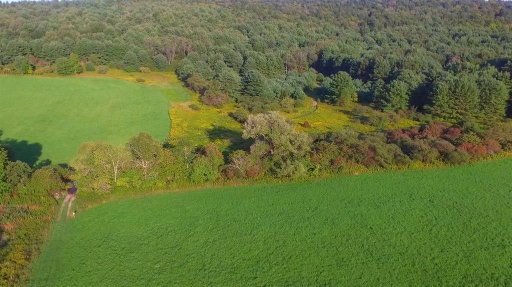 223.47 Acres, 833 CTY 49, Edmeston, NY 13335 Land and Farm