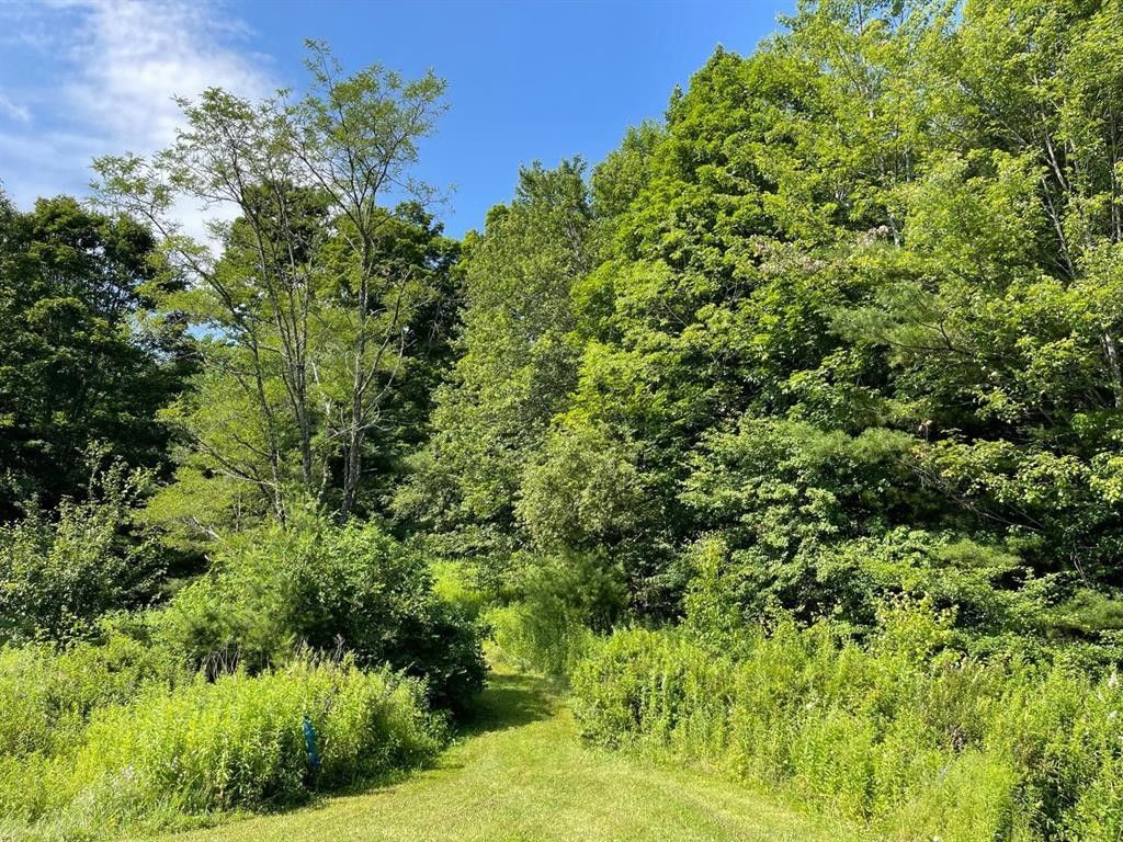 11.05 Acres, 0 West Platner Brook Road, Franklin, NY 13775 Land and Farm