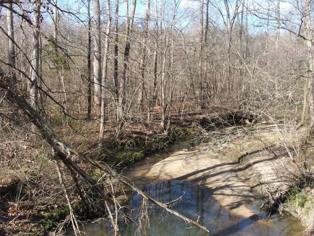 15.24 Acres, Kings Cross Road, Red Oak, VA 23964 Land and Farm