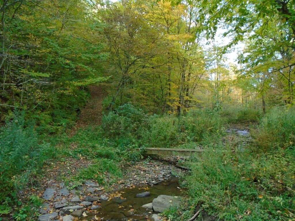 49.58 Acres, 241 Pigeon Hill Road, South Plymouth, NY 13844 Land and Farm