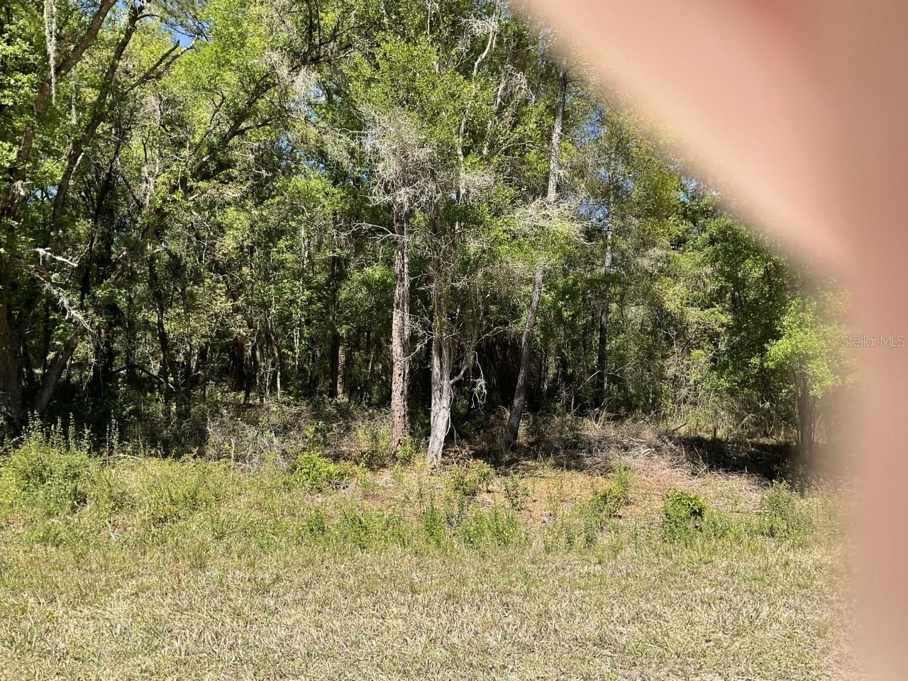 3.3 Acres, 9148 PLYMOUTH ROCK DRIVE, ster, FL 33597 Land and Farm