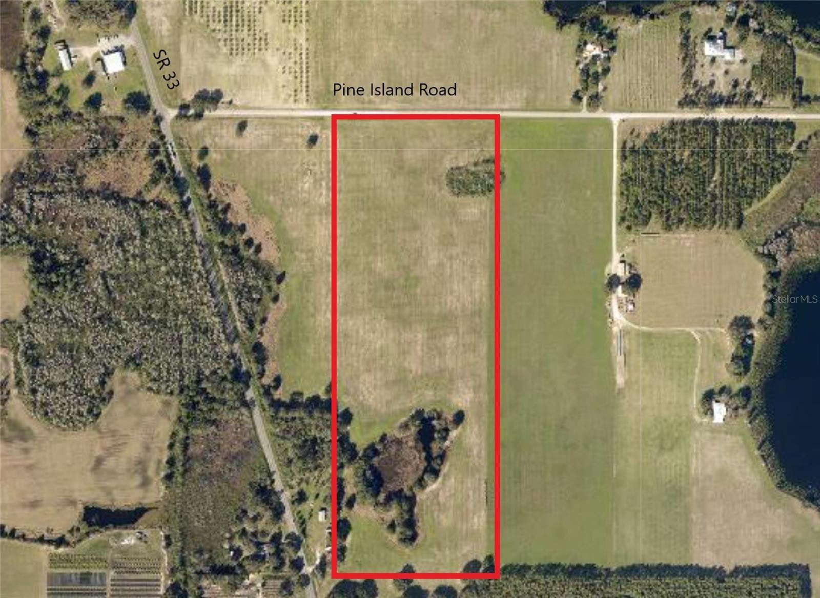 PINE ISLAND ROAD, Clermont, FL 34711 MLS S5067845 Land and Farm