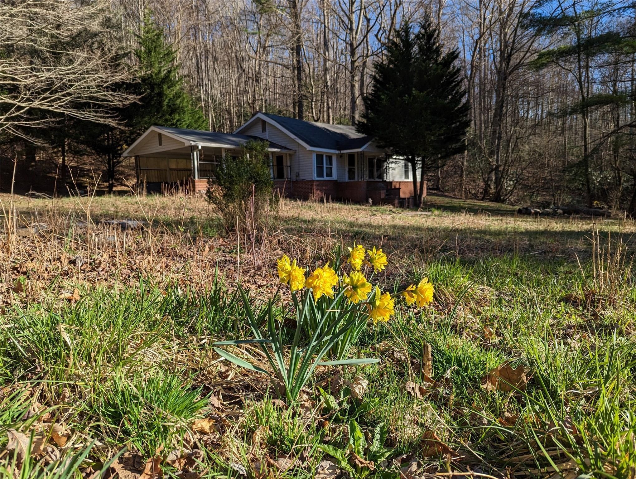 10.25 Acres, 543/560 Clear Creek Road, Burnsville, NC 28714 Land and Farm