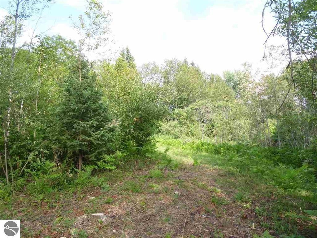 2.3 Acres, V/L Everett Trail, Hale, MI 48739 Land and Farm