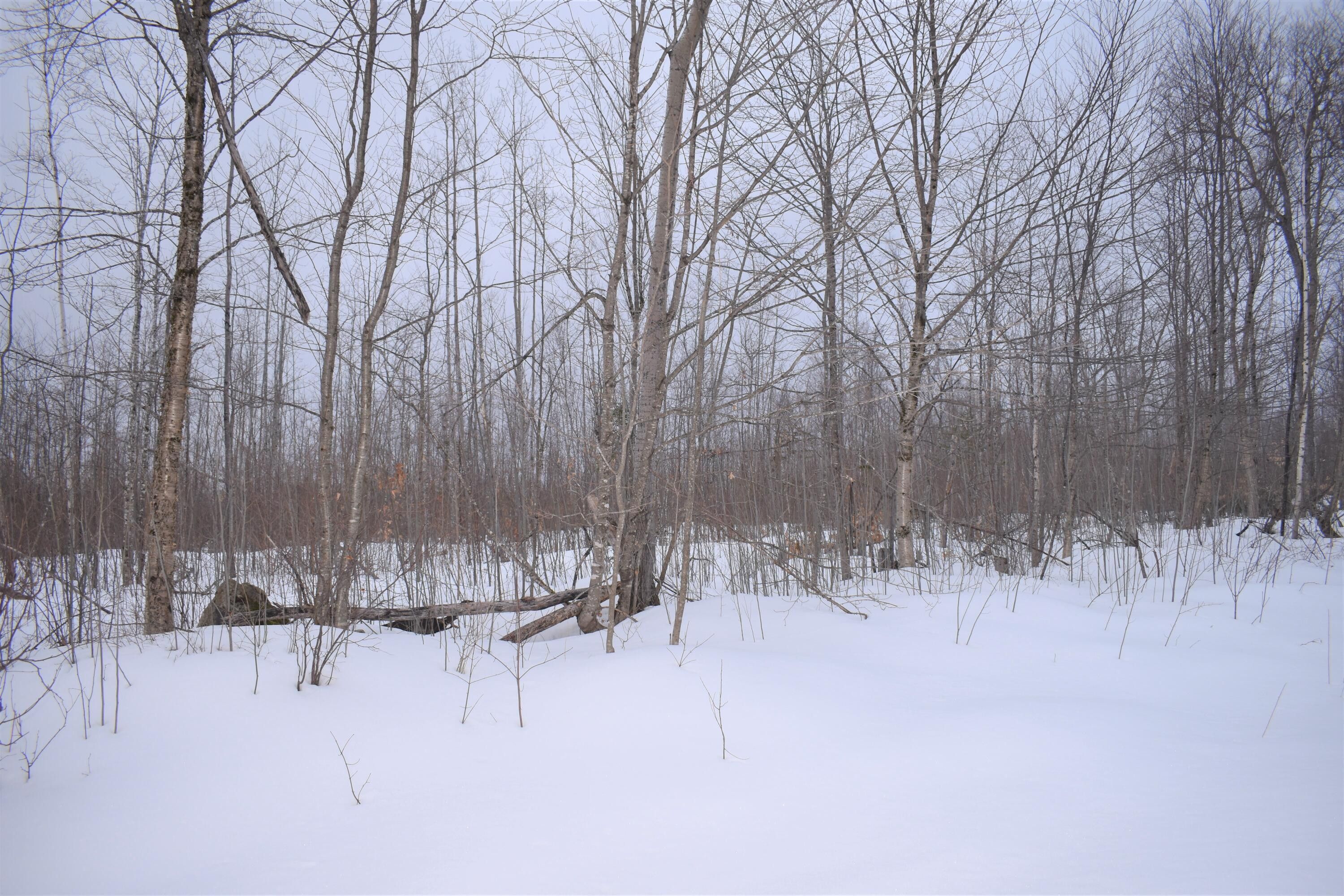 10 Acres, Lot 3d Forest Lane, Lakeville, ME 04487 Land and Farm