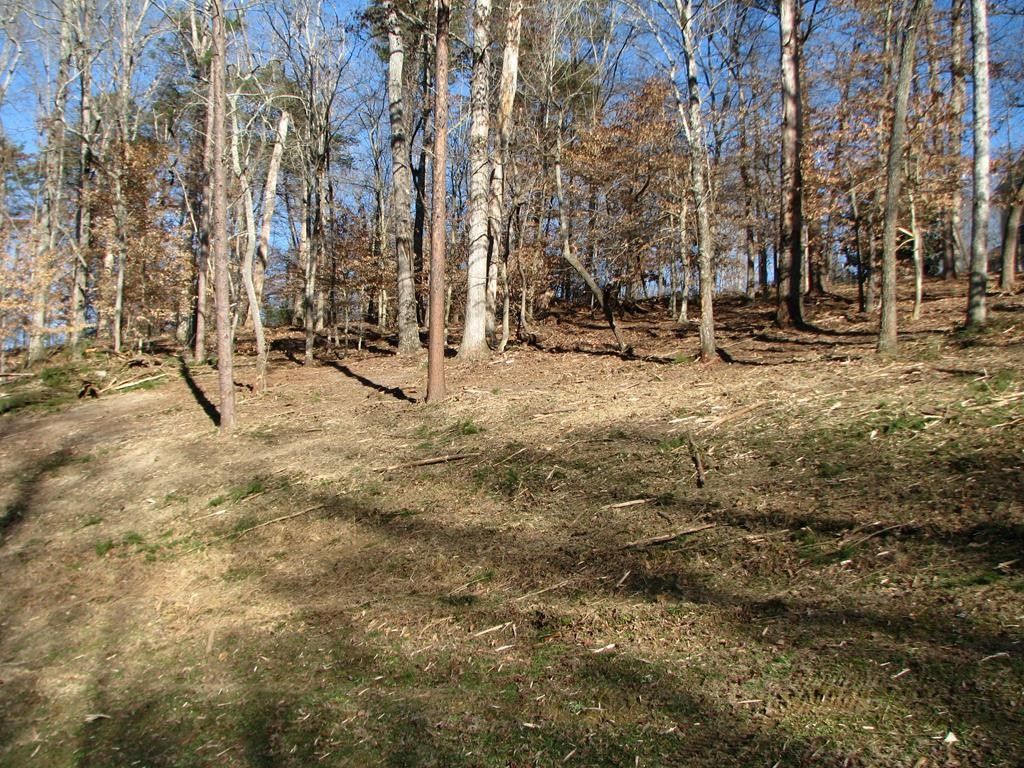 0.92 Acres, Lot 11 Cove Springs Dr., Dandridge, TN 37725 Land and Farm