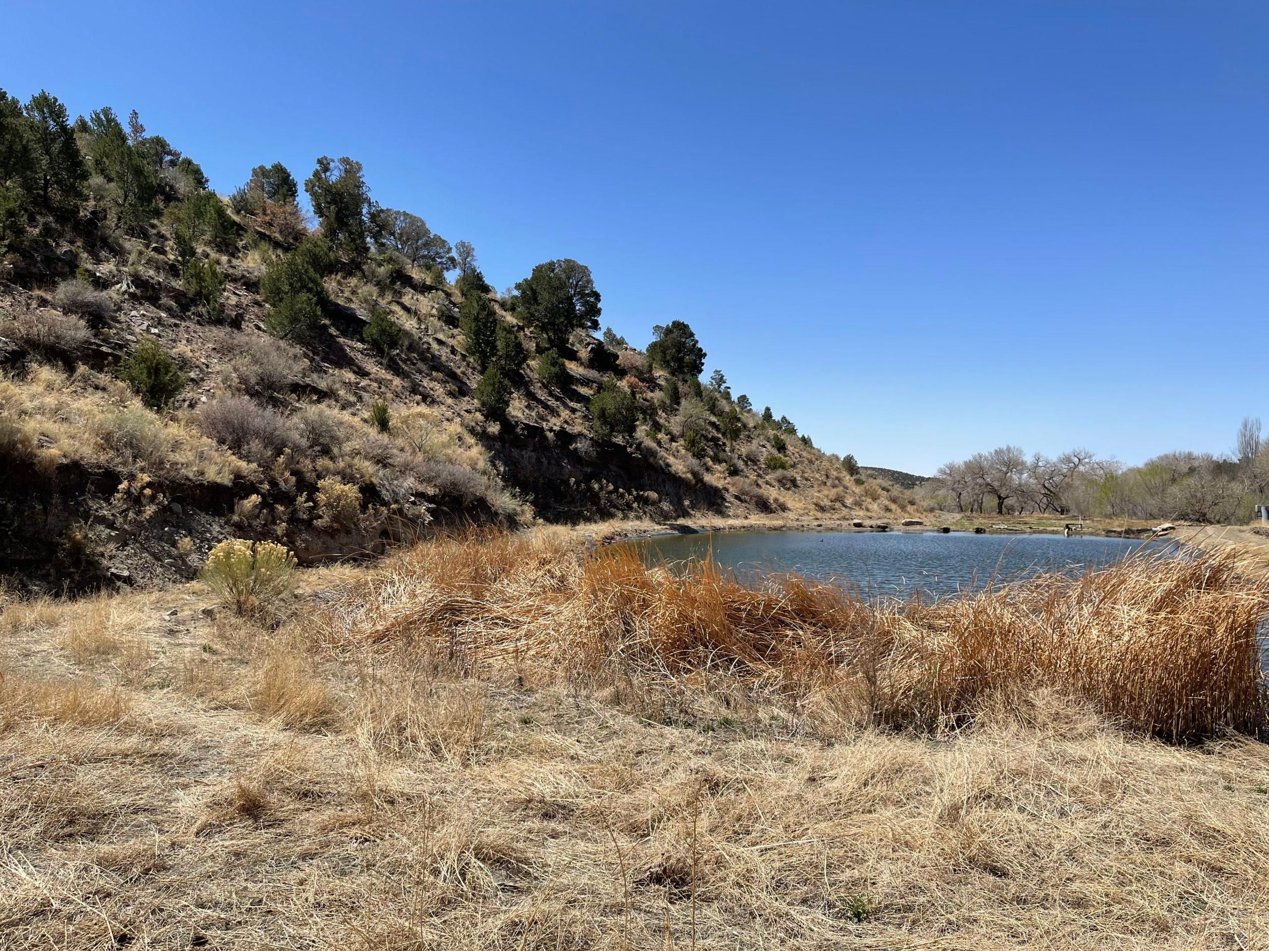 85 Acres, MM 240 Southside of HWY 70, Bent, NM 88314 Land and Farm