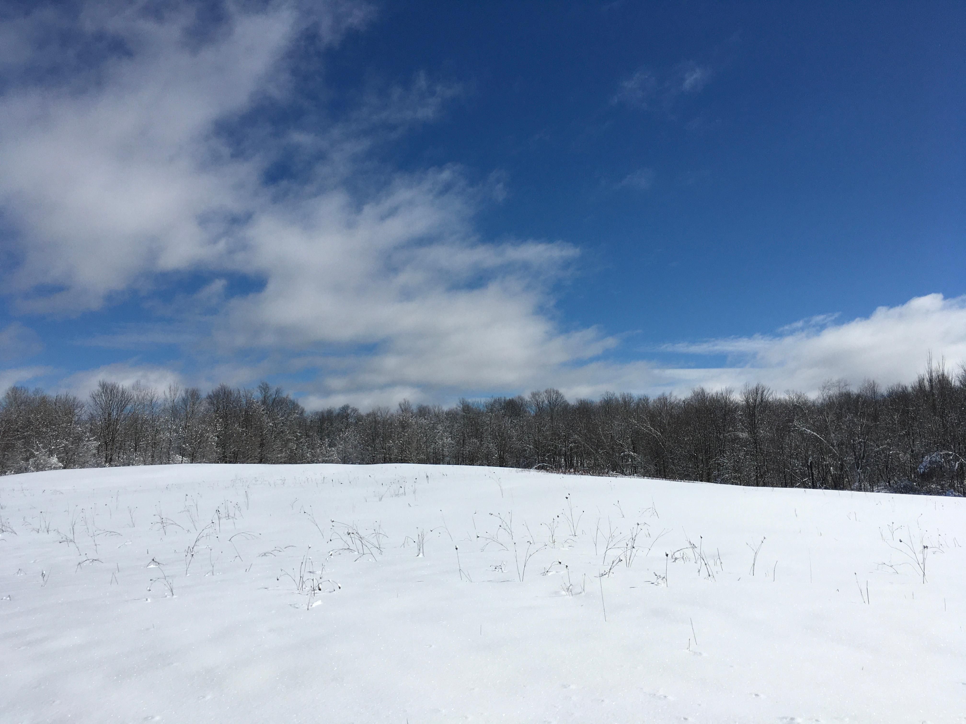 15.3 Acres, Trout Lake Rd, Hermon, NY 13652 Land and Farm