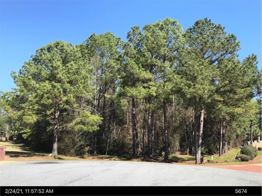 2.56 Acres, Lot 12 NUNNALLY WAY, Leesburg, GA 31763 Land and Farm
