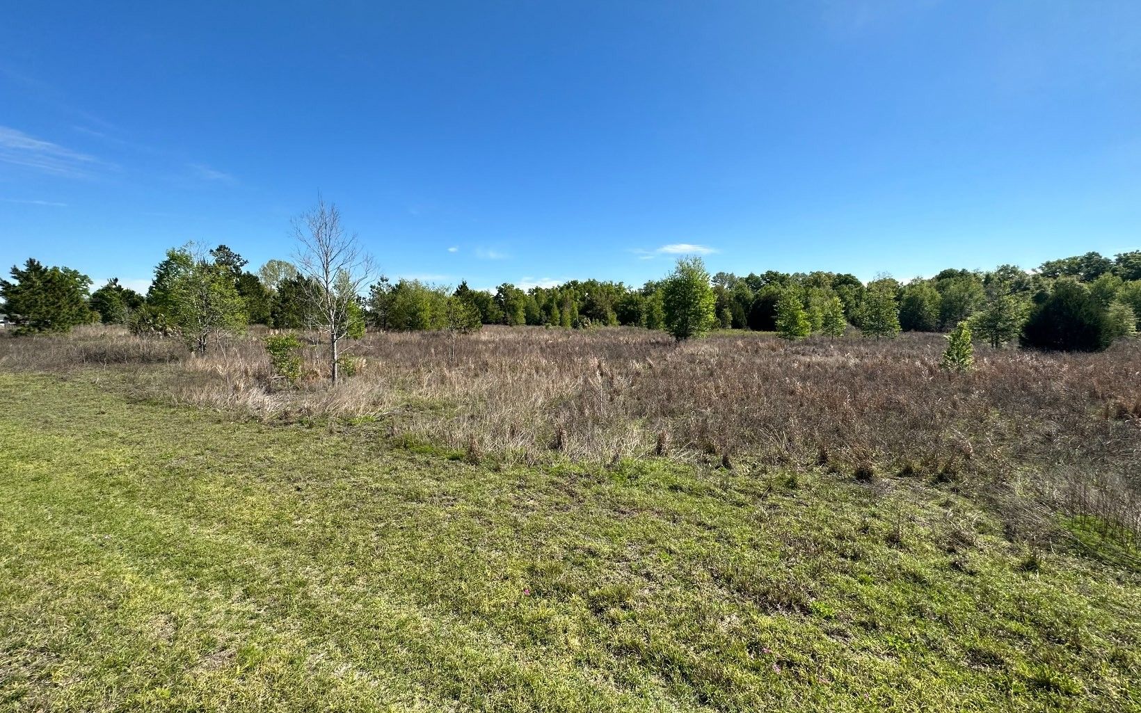 4.79 Acres, TBD NW 76TH AVENUE, Chiefland, FL 32626 Land and Farm