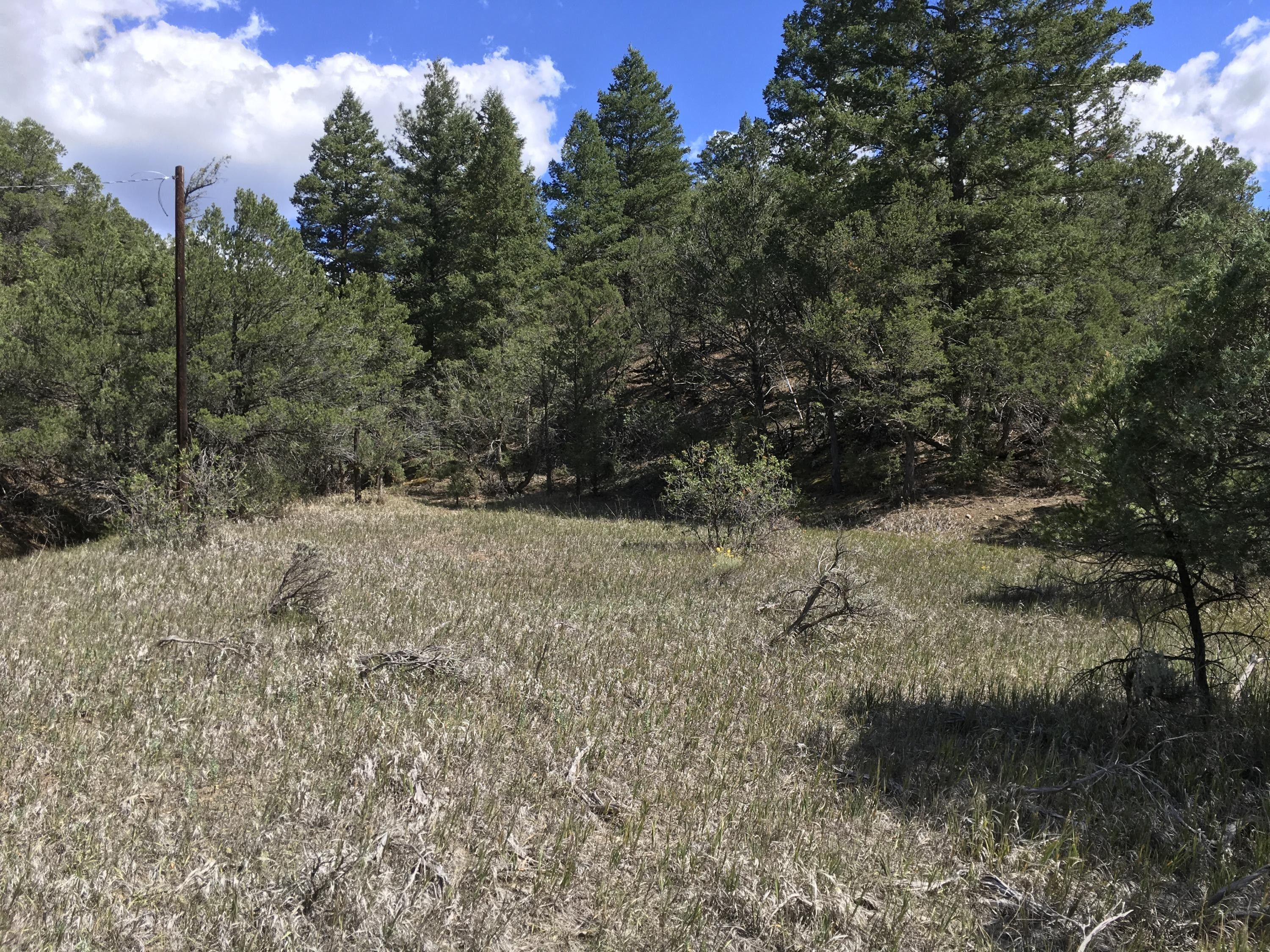 3.85 Acres, Us64, Taos, NM 87571 Land and Farm