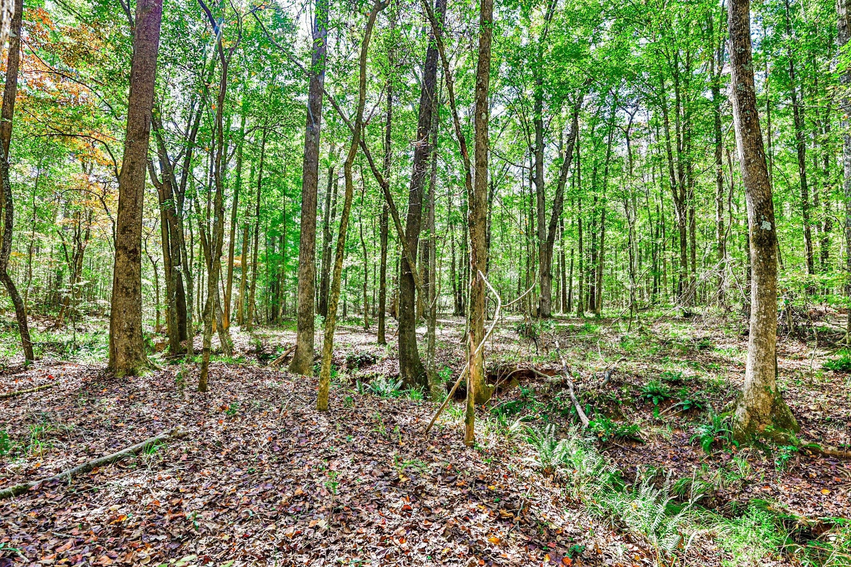 345 Acres, Monticello, GA 31038 Land and Farm