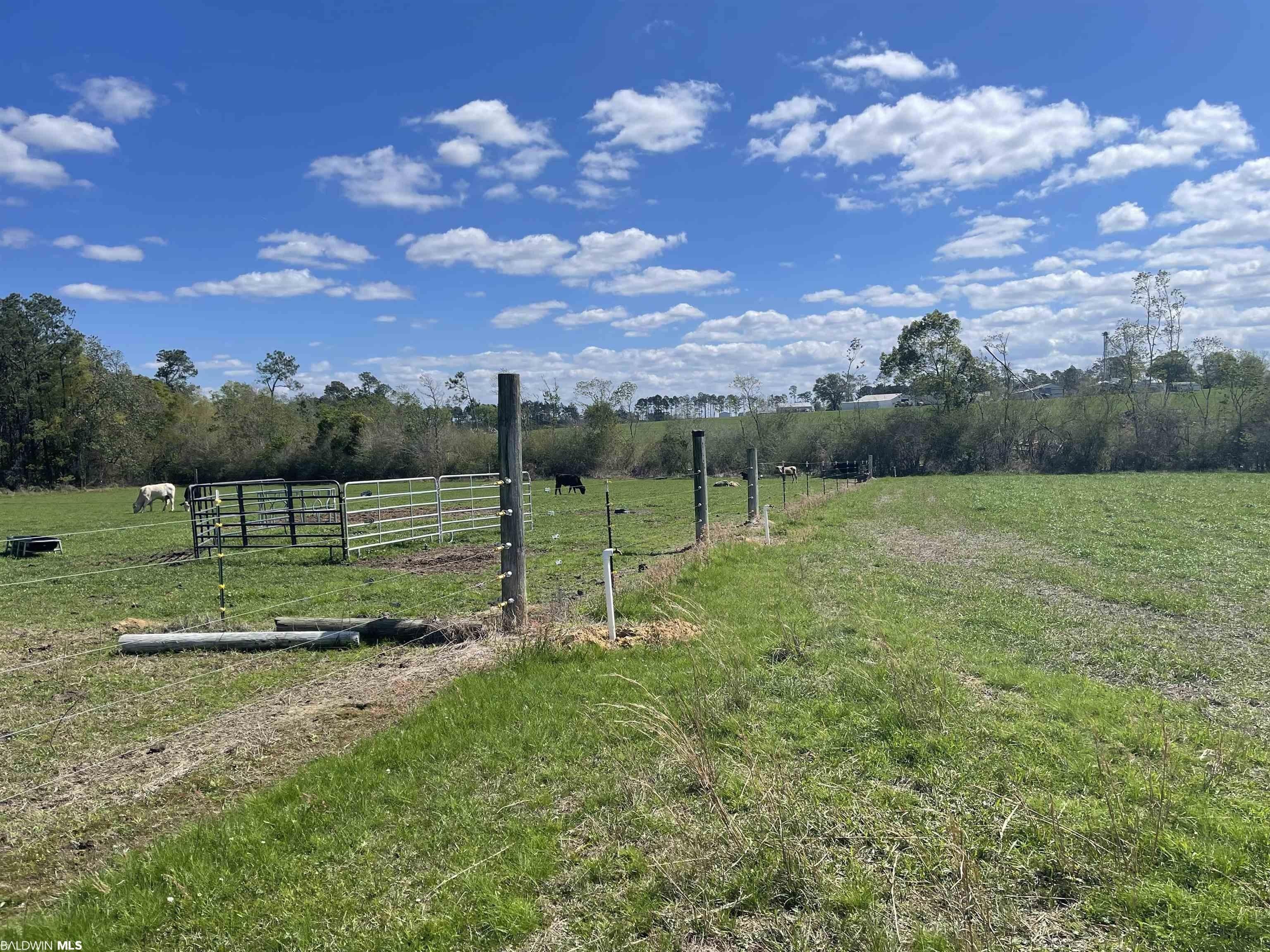10 Acres, 22102 Riendeau Lane, Robertsdale, AL 36567 Land and Farm