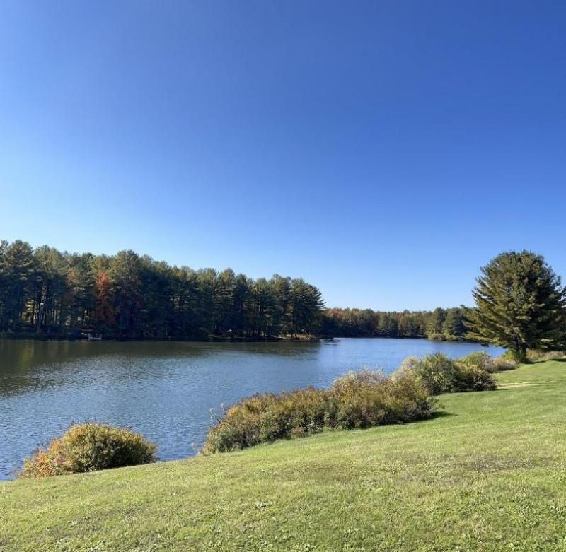 5.7 Acres, 515 S Gilboa Road Road, Stamford, NY 12167 Land and Farm