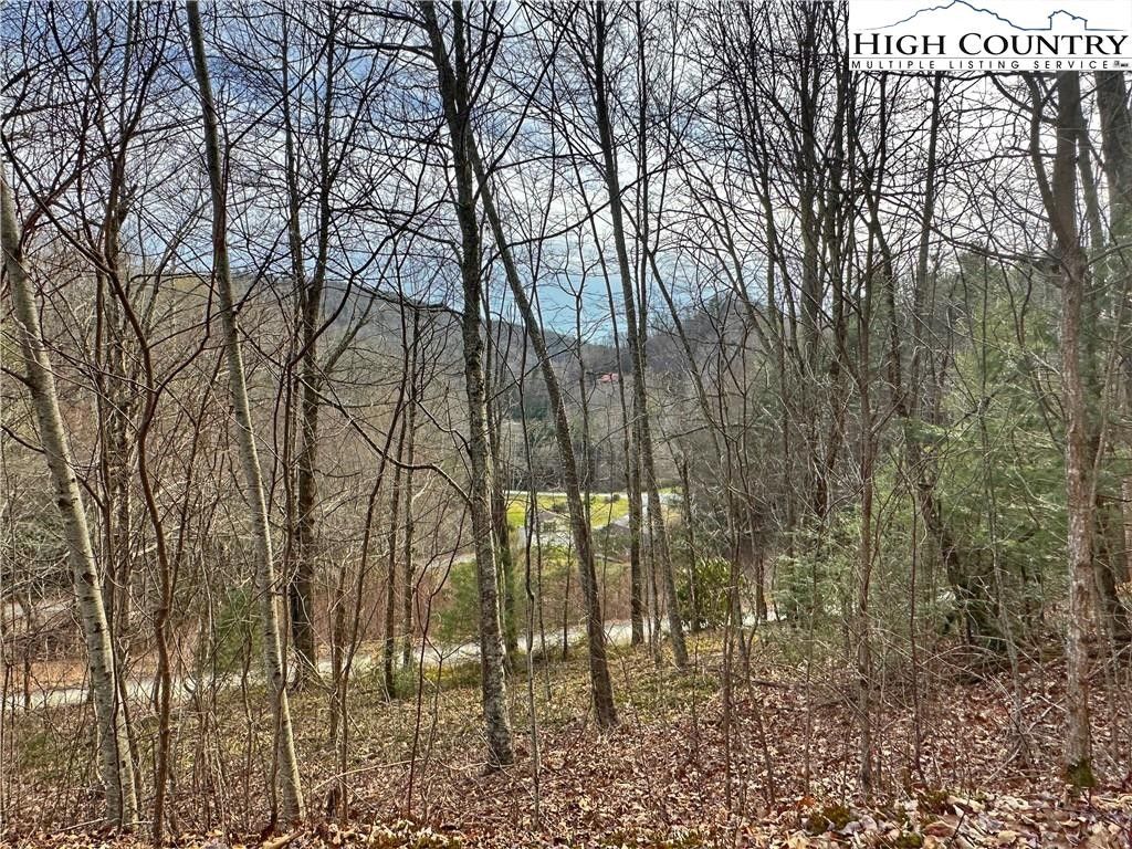 2.9 Acres, 000 Shady Bark Lane, Boone, NC 28607 Land and Farm