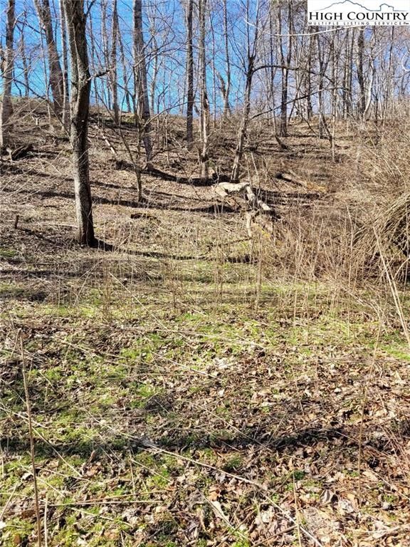 8.73 Acres, 9716 Three Top, Todd, NC 28684 Land and Farm