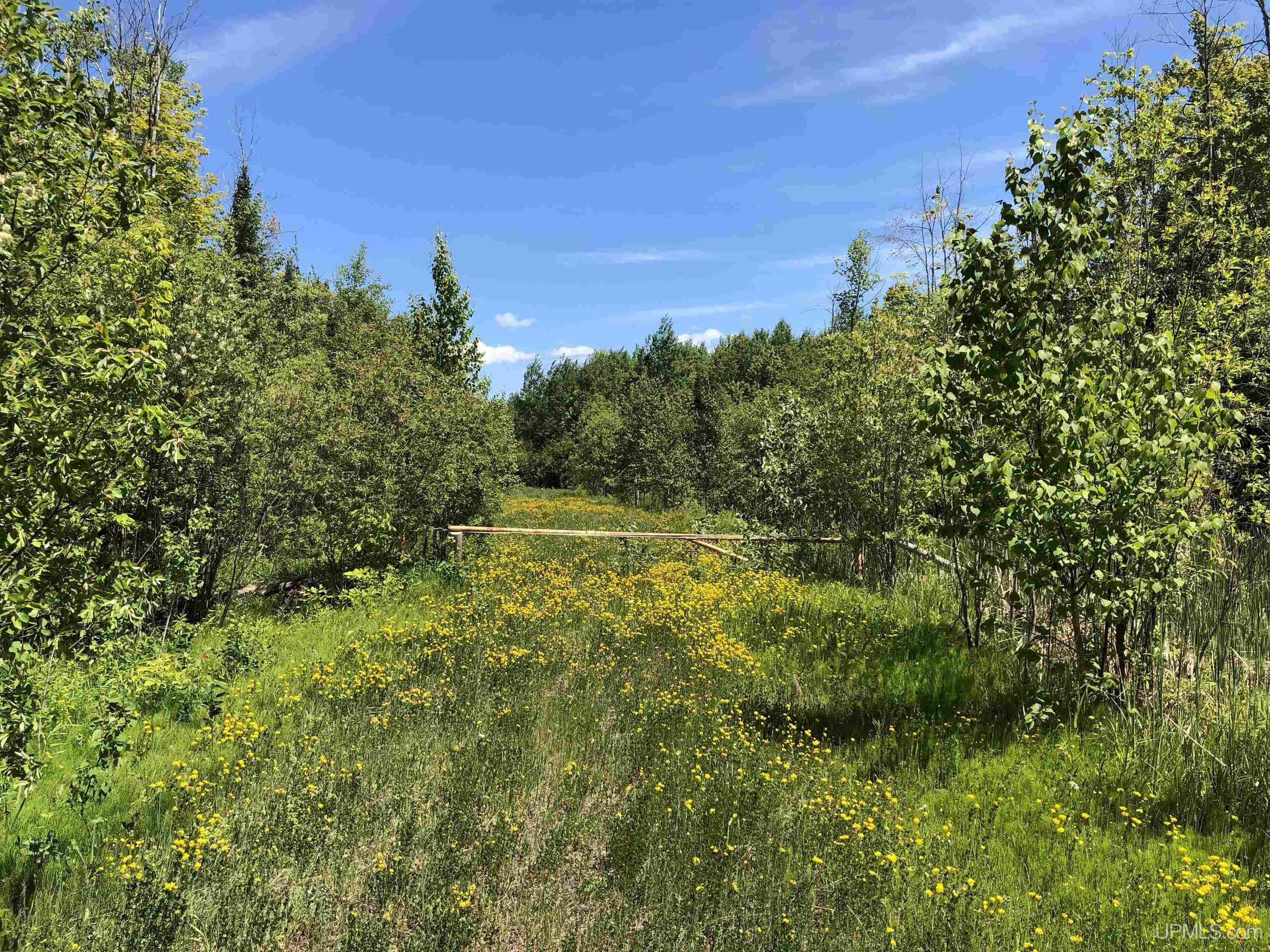 65 Acres, TBD M64, White Pine, MI 49971 Land and Farm