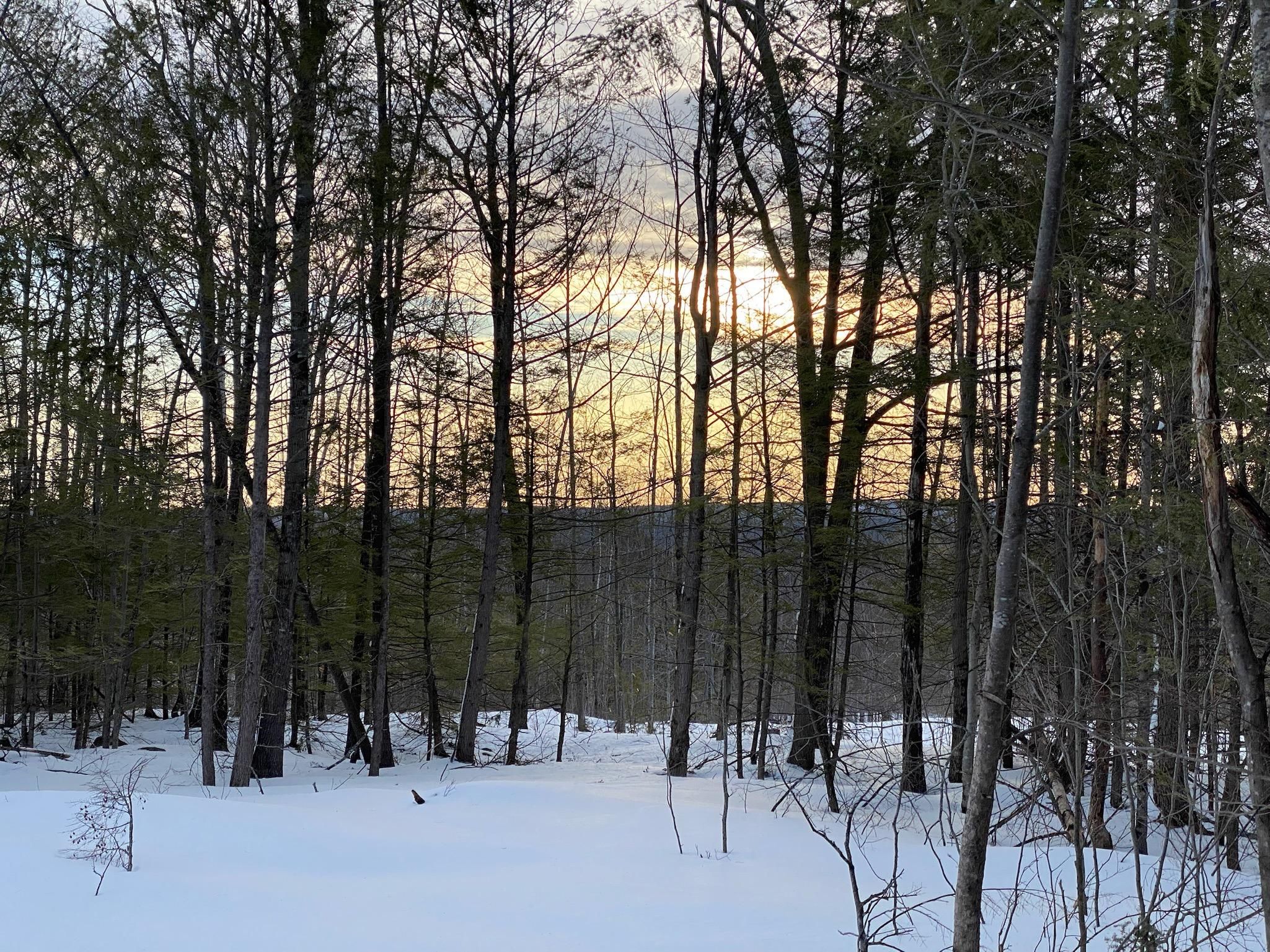 66 Acres, Scribner Hill Road, Otisfield, ME 04270 Land and Farm