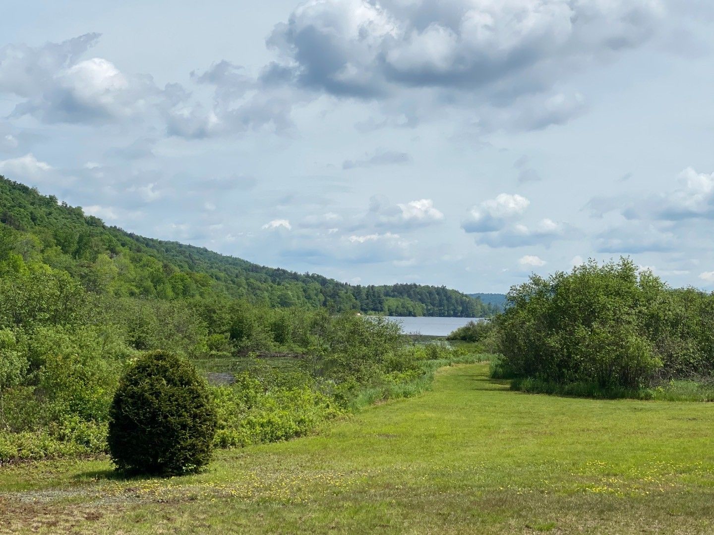 58 Acres, 523 Route 8, Piseco, NY 12139 Land and Farm