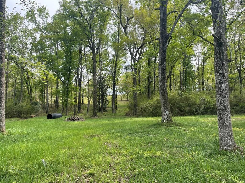 7.57 Acres, 0 Glenwood, Kinsey, AL 36303 Land and Farm