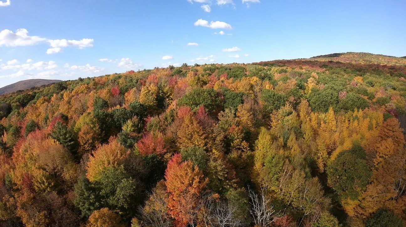 5.1 Acres, Van Dyke Road NY938, Roxbury, NY 12474 Land and Farm