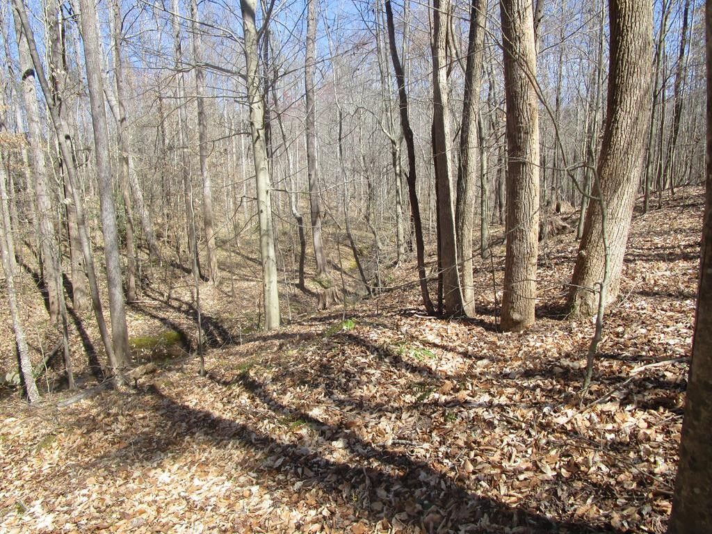 New Grove, Kenbridge, VA 23944 MLS 50112 Land and Farm