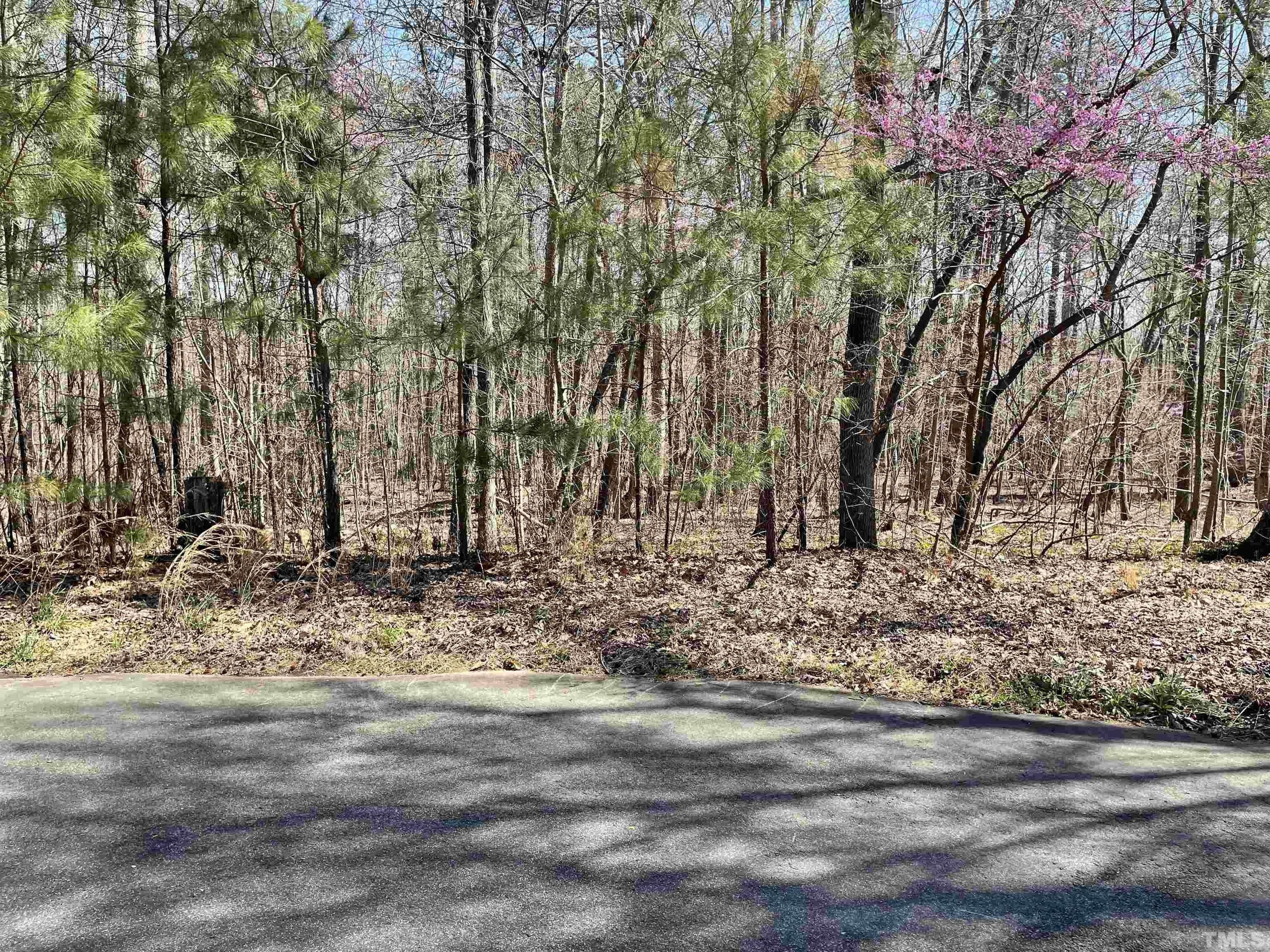 3.1 Acres, Lot 2 Admiral Lane, Durham, NC 27705 Land and Farm