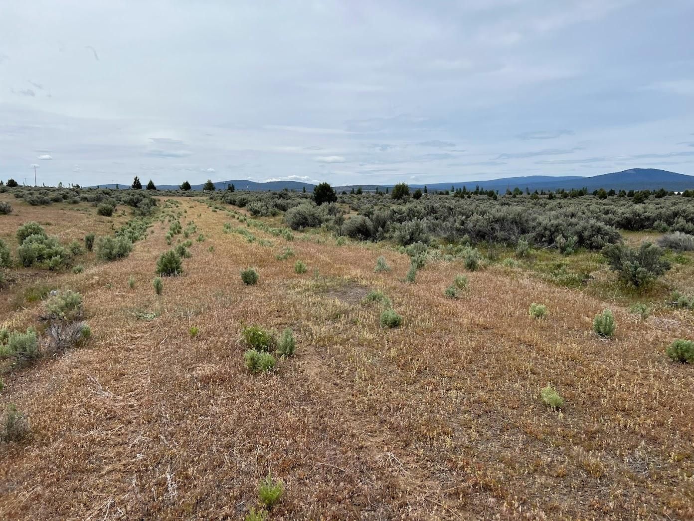 TBD Olivera Rd., Alturas, CA 96101 MLS 036083006000 Land and Farm