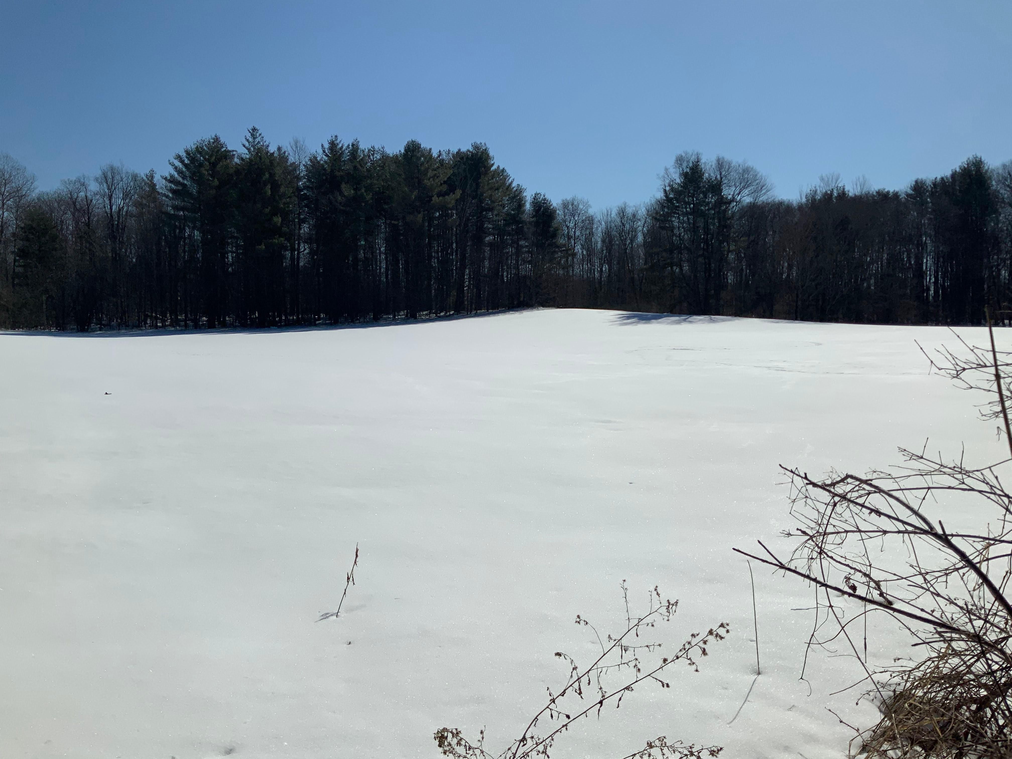 50 Acres, Hoffman Rd, Oppenheim, NY 13452 Land and Farm