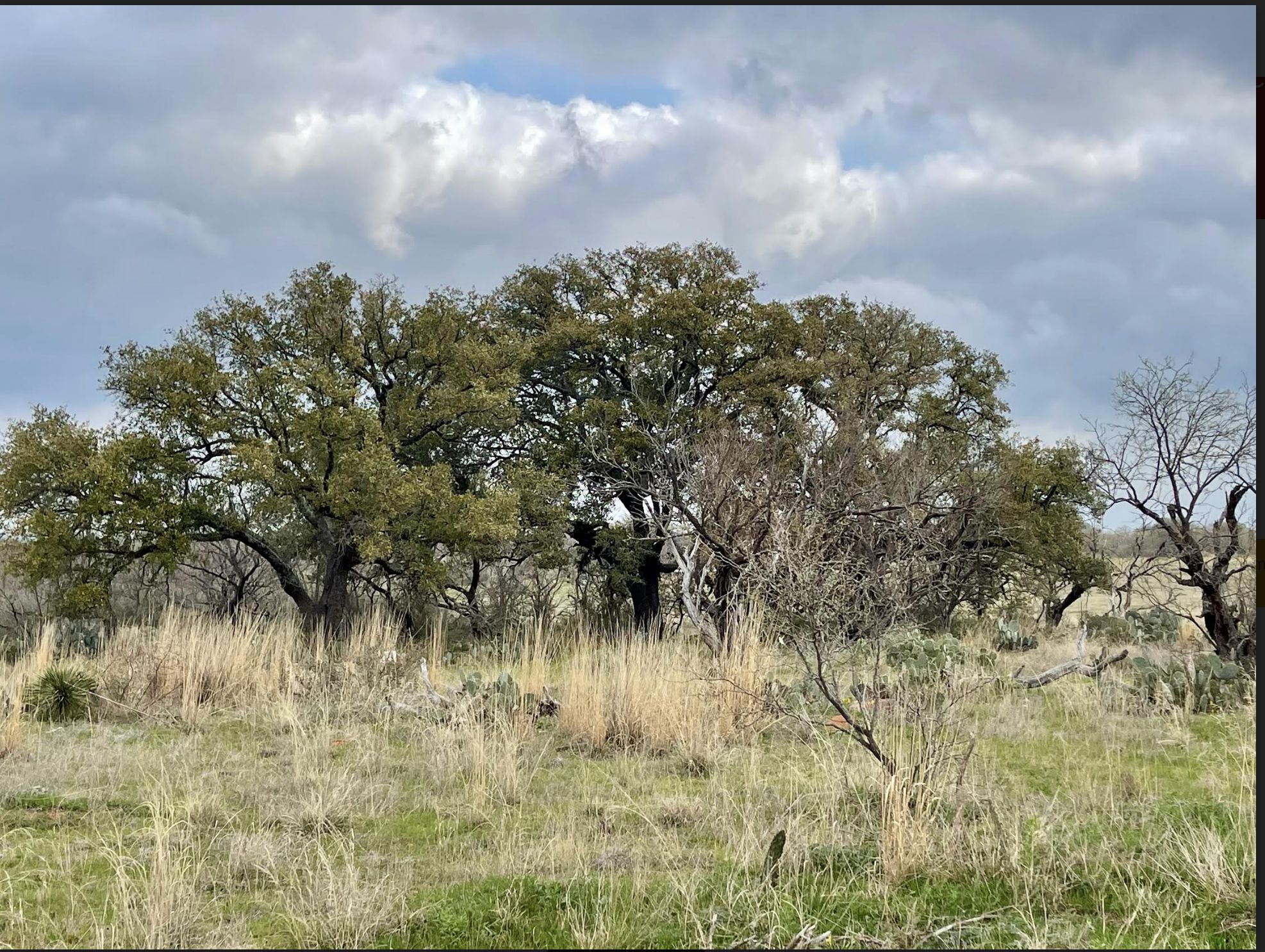 15 Acres, Castell, TX 76831 Land and Farm