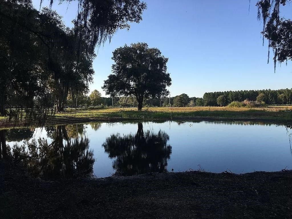 10 Acres, 0 167TH, Reddick, FL 32686 Land and Farm