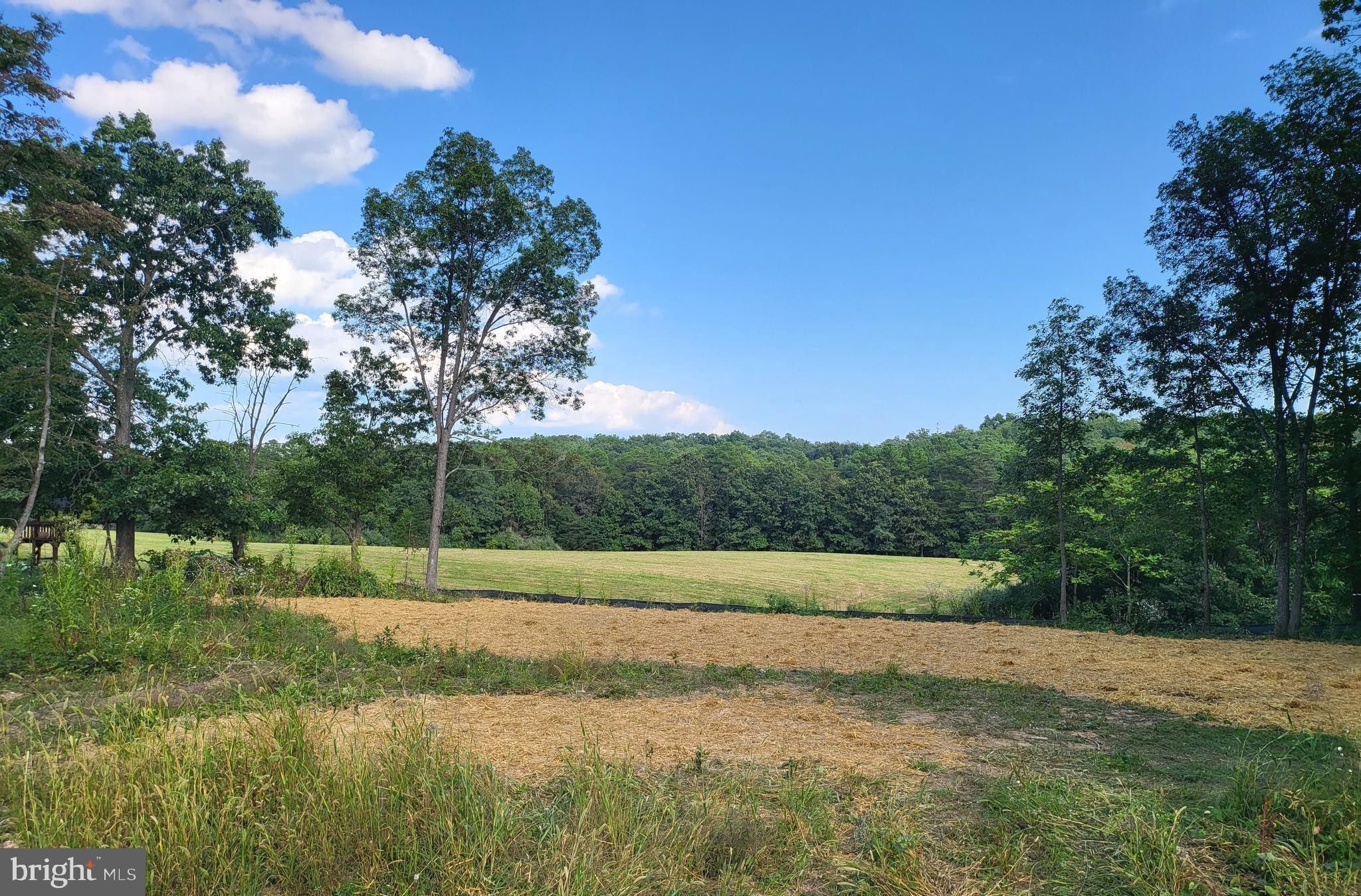 0.41 Acres, 129 LAKE HOLIDAY ROAD, Cross Junction, VA 22625 Land and Farm