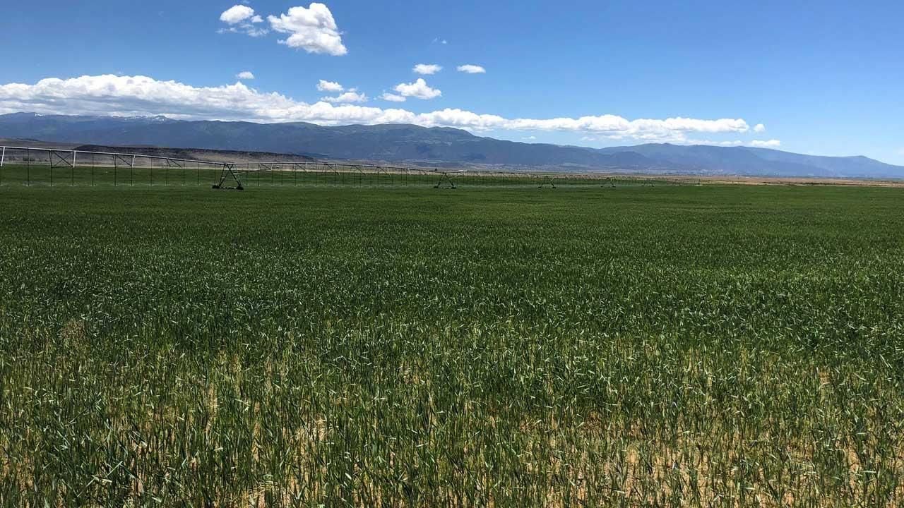 3,878 acres in Enoch, UT, 84721 Land and Farm