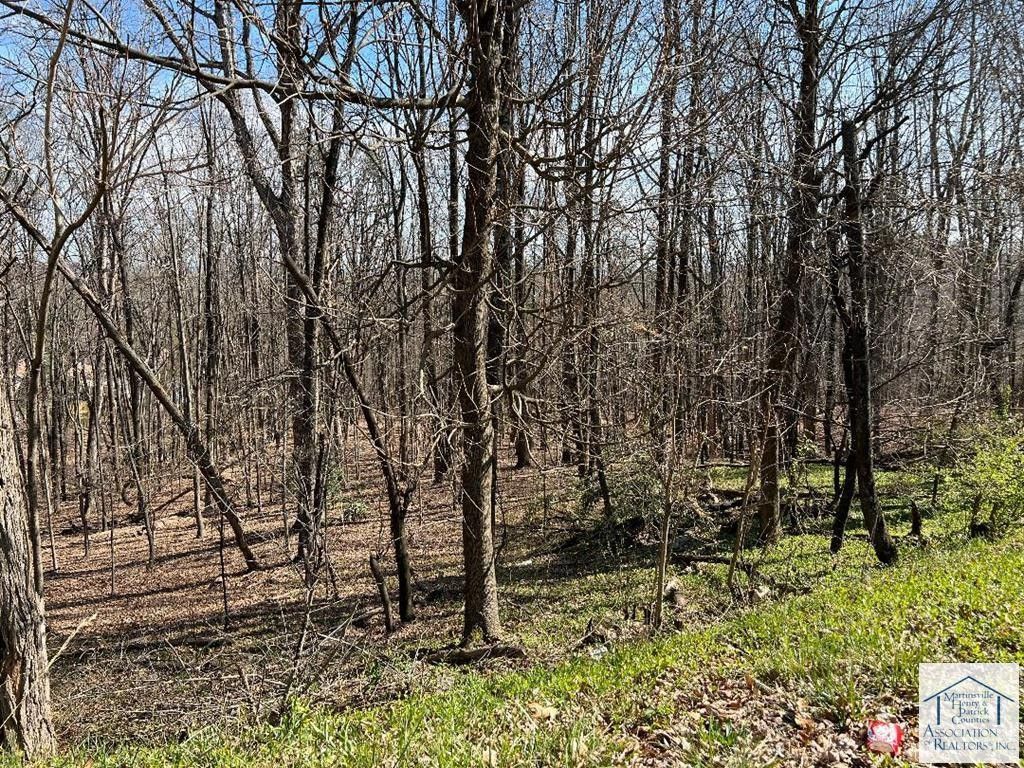 6.9 Acres, 26 lots Chatham Heights Rd, Martinsville, VA 24112 Land