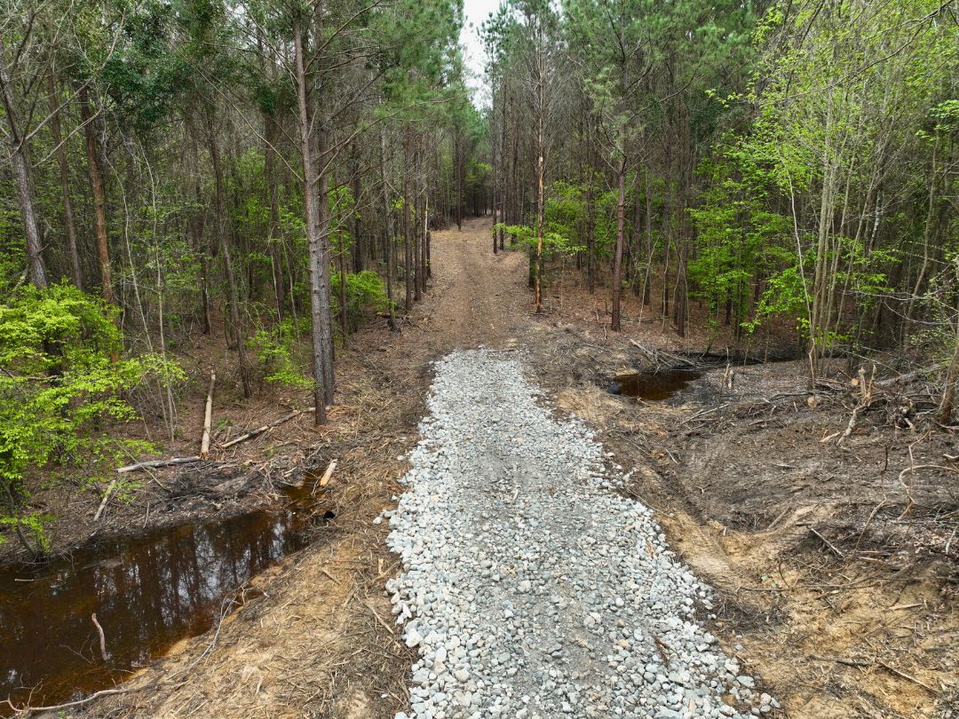 18 Acres, County Road 2123, Douglassville, TX 75560 Land and Farm