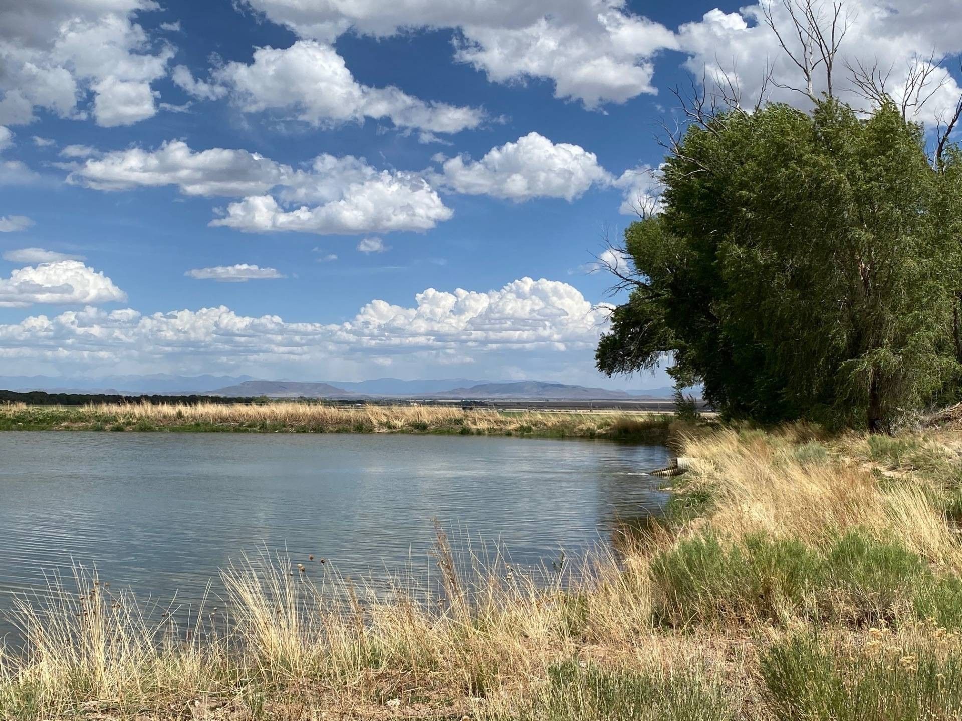 2,300 Acres, 5020 Road Y, La Jara, CO 81151 Land and Farm