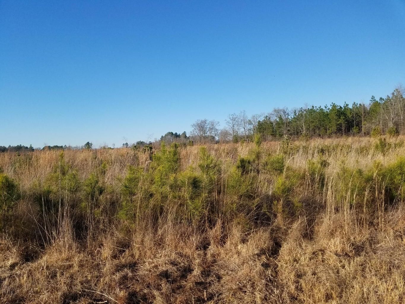70 Acres, 2877 Mount Nebo Road, Islandton, SC 29929 Land and Farm