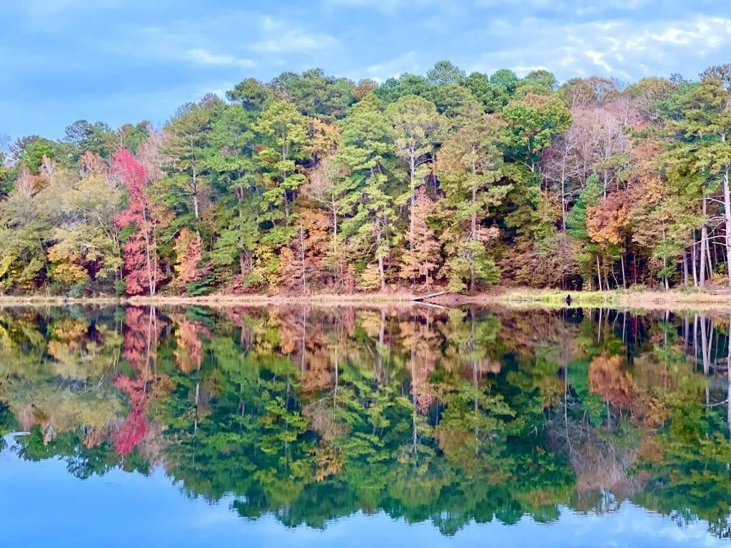 100 Acres, 552 Island Shoals Road, Covington, GA 30016 Land and Farm