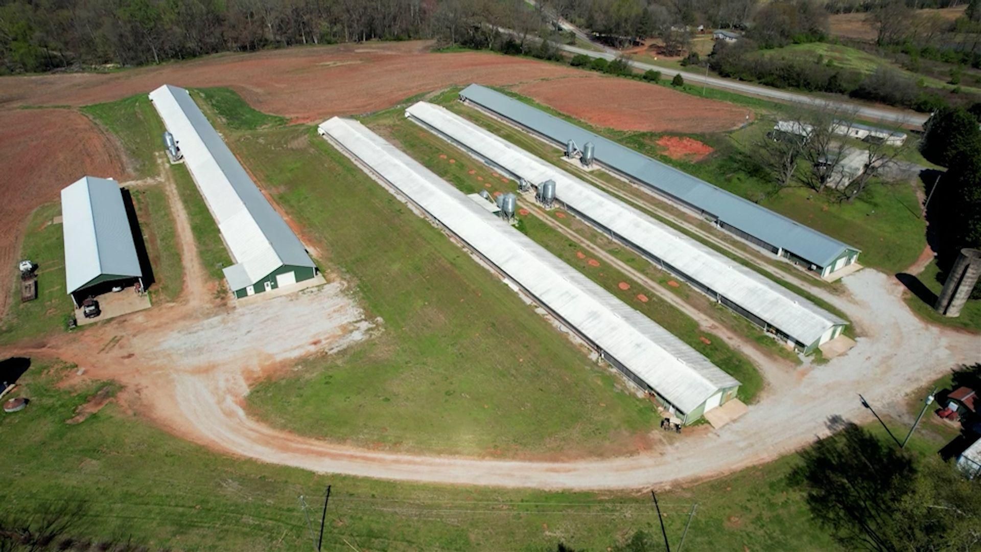 20 acres in Royston, GA, 30662 Land and Farm