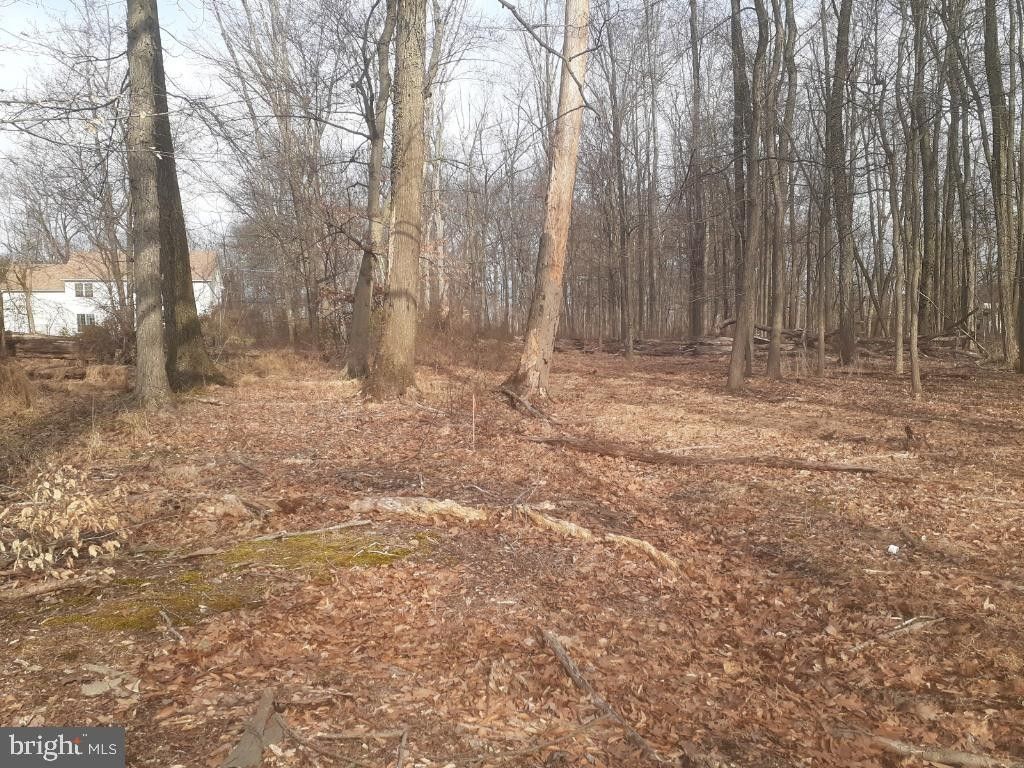 2.6 Acres, 584 WASHINGTON CROSSING, Newtown, PA 18940 Land and Farm