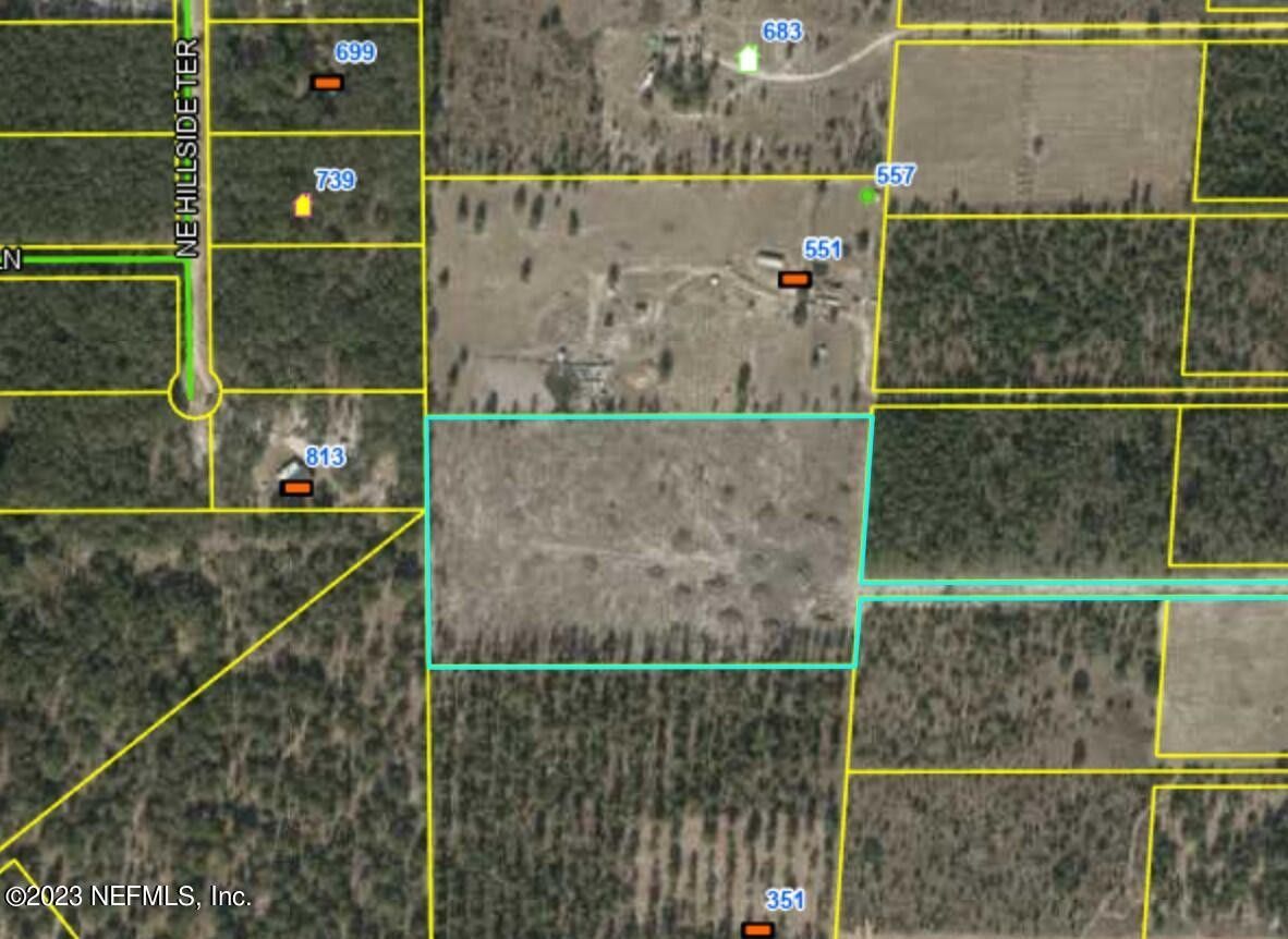 10.01 Acres, 00 NE BEULAH CHURCH RD RD, Lee, FL 32059 Land and Farm