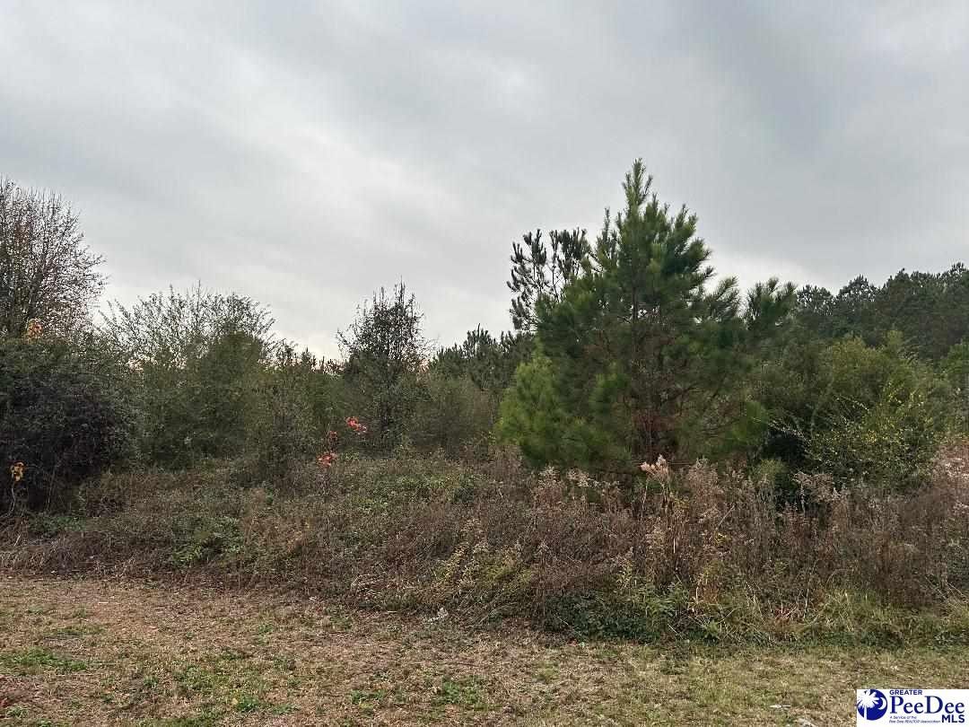 1.96 Acres, TBD McIver Rd, Florence, SC 29506 Land and Farm