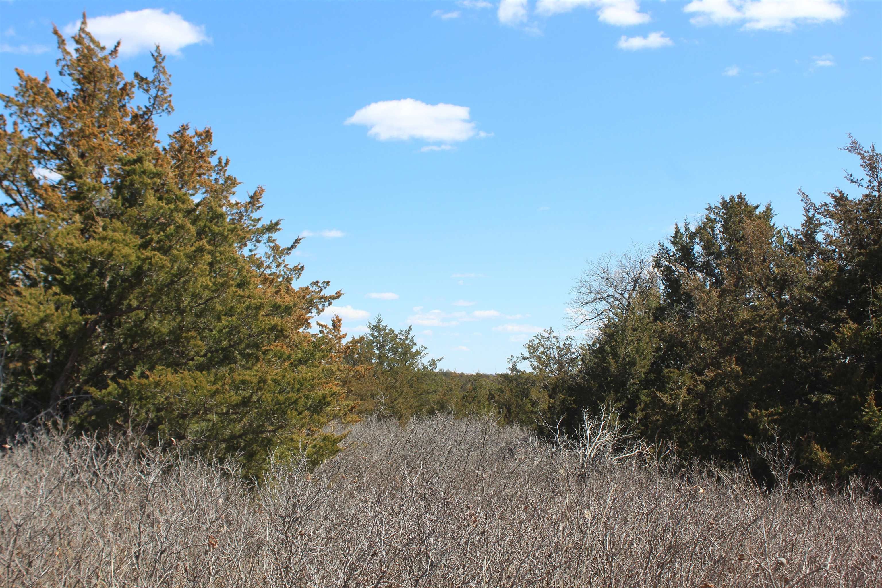 80 Acres, 80 Acres W2 Se4 S8 T19 R21 WIM, Vici, OK 73859 Land and Farm