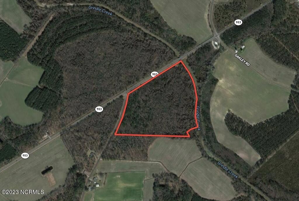 37.5 Acres, 0 Highway 903. N, Stokes, NC 27884 Land and Farm