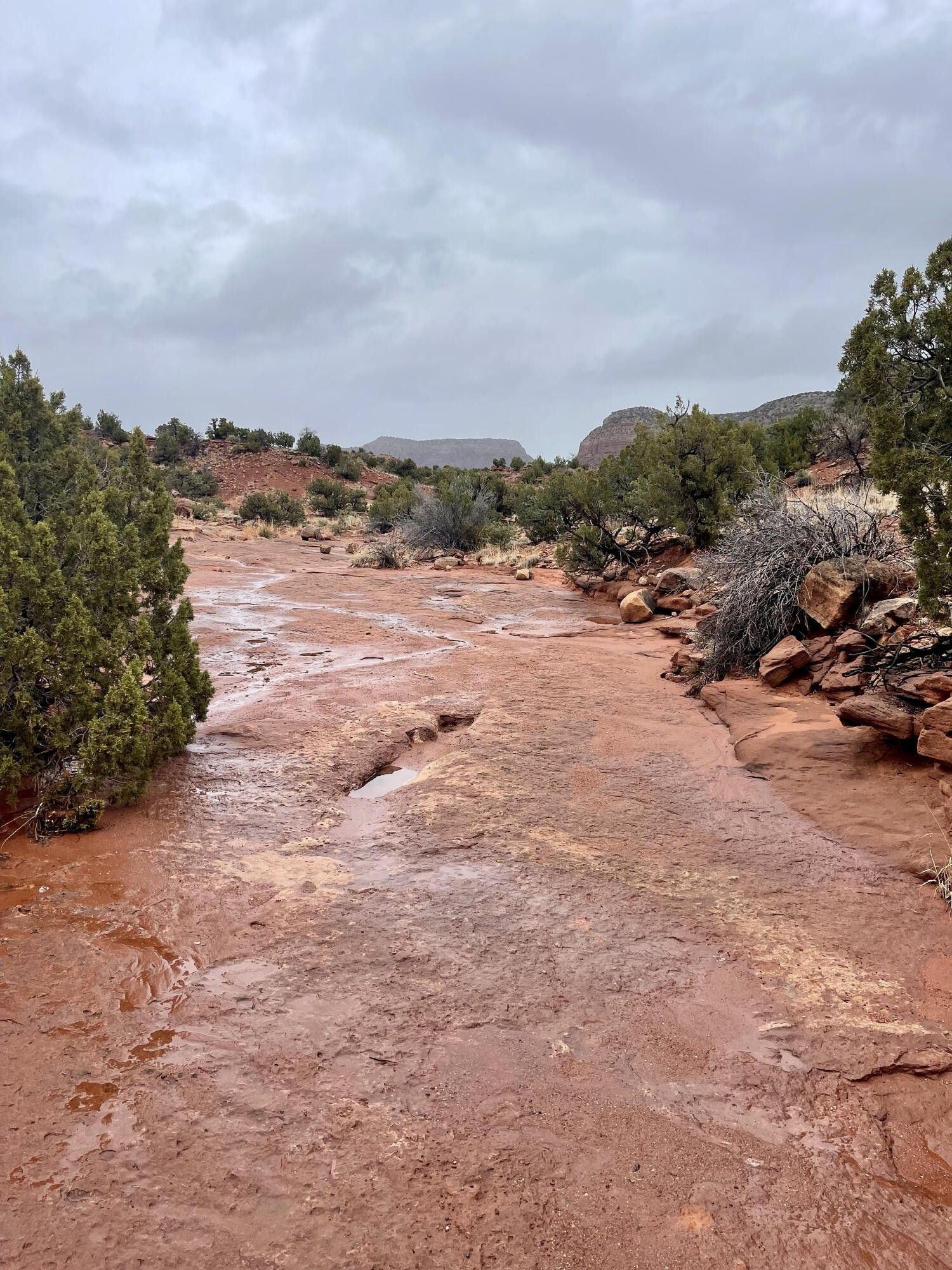 Lot 16 Camino Amarillo, Jemez Pueblo, NM 87024 MLS 1023218 Land