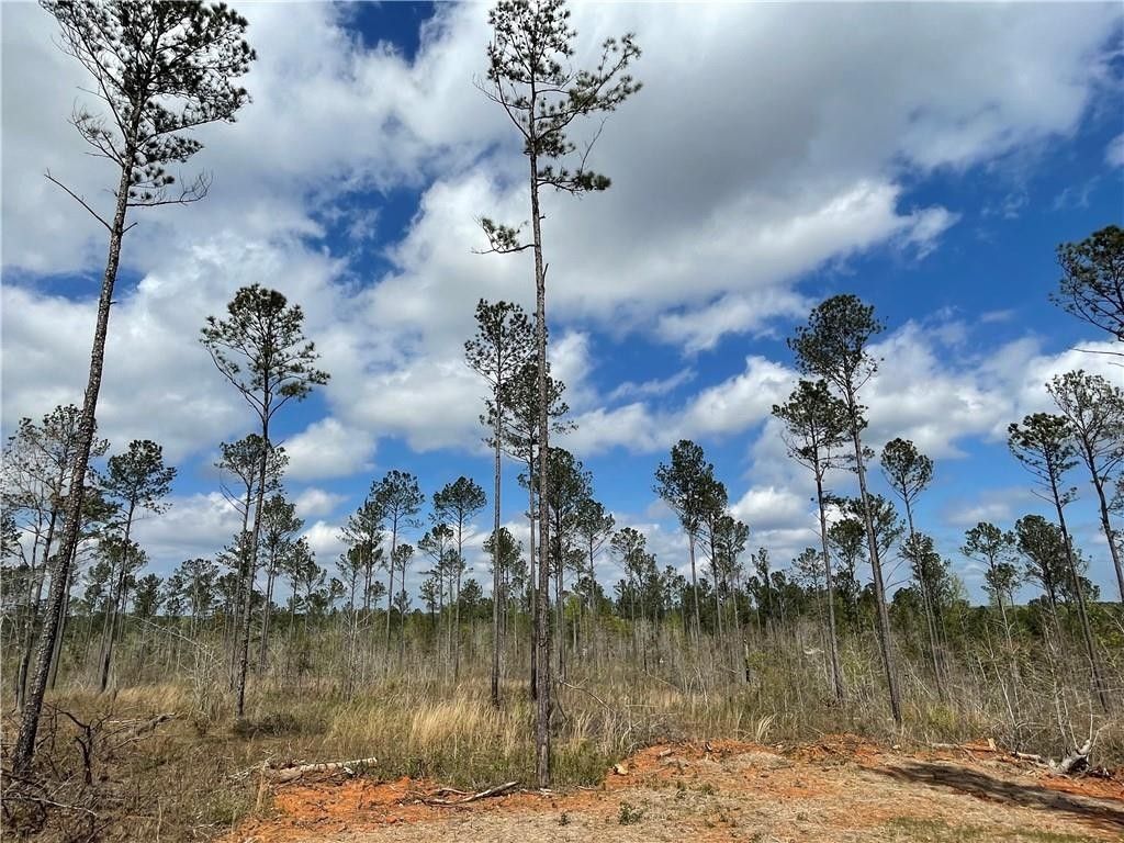 5.54 Acres, 9359 LEE ROAD 158, Salem, AL 36874 Land and Farm