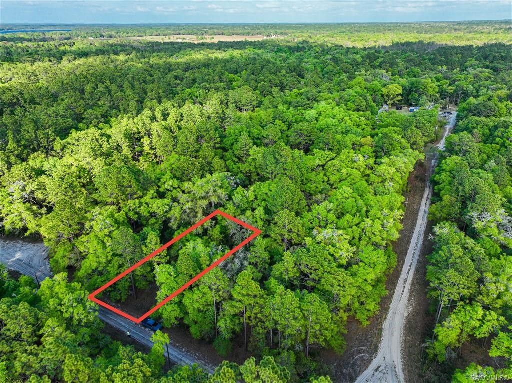 0.25 Acres, 10439 N Dunedin Road, Dunnellon, FL 34433 Land and Farm
