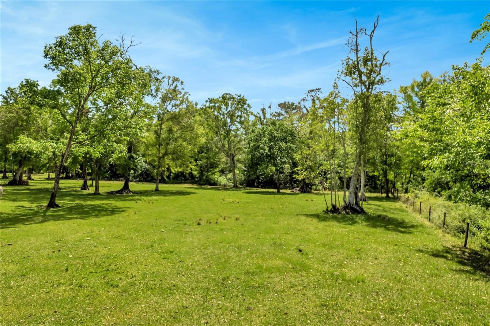 22 Acres, Tbd CORKWOOD LANE, Astatula, FL 34705 Land and Farm